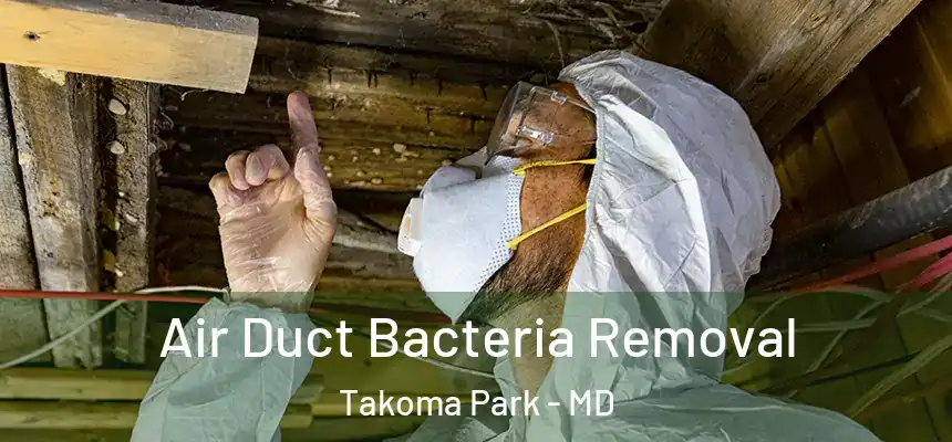 Air Duct Bacteria Removal Takoma Park - MD