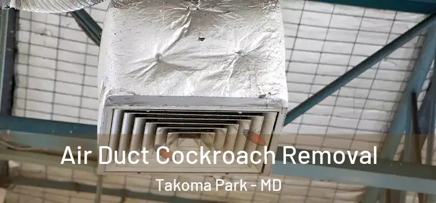 Air Duct Cockroach Removal Takoma Park - MD