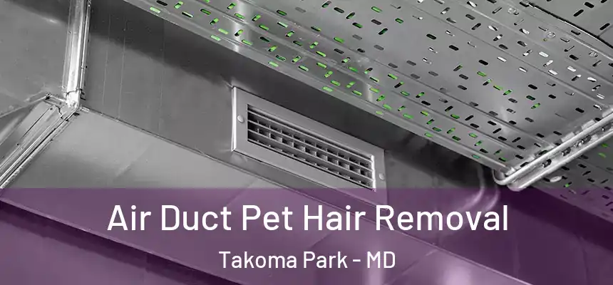 Air Duct Pet Hair Removal Takoma Park - MD