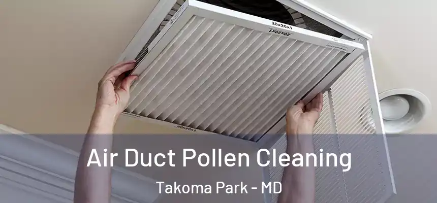 Air Duct Pollen Cleaning Takoma Park - MD