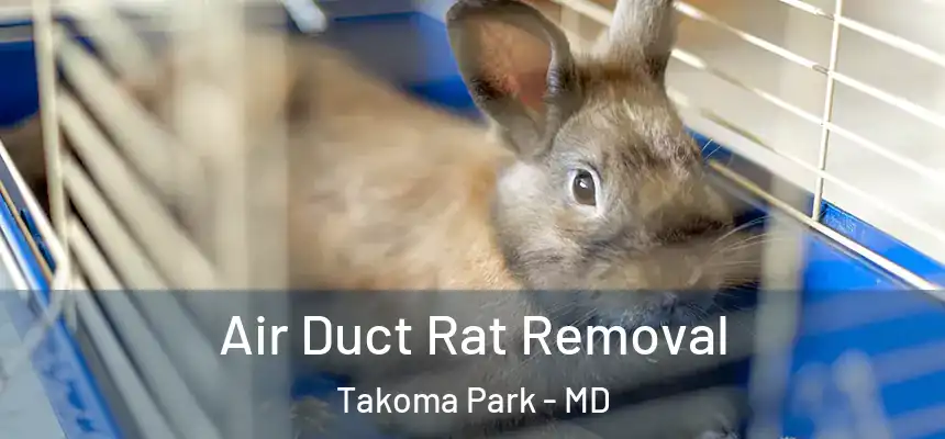 Air Duct Rat Removal Takoma Park - MD