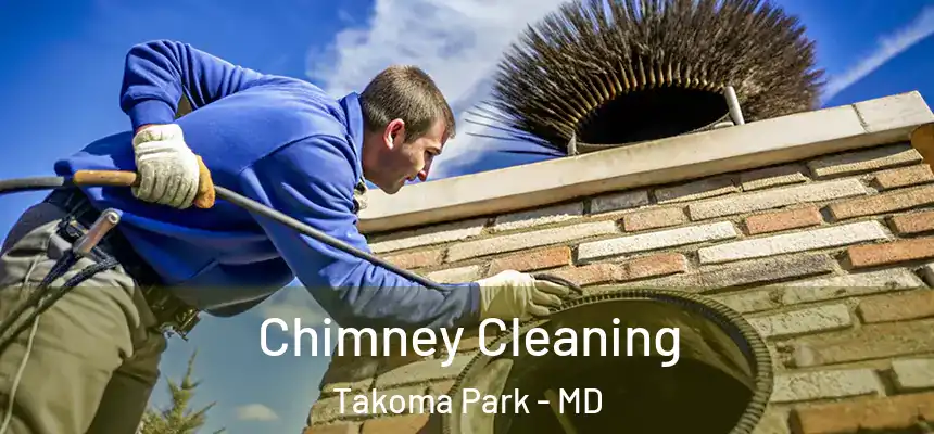 Chimney Cleaning Takoma Park - MD