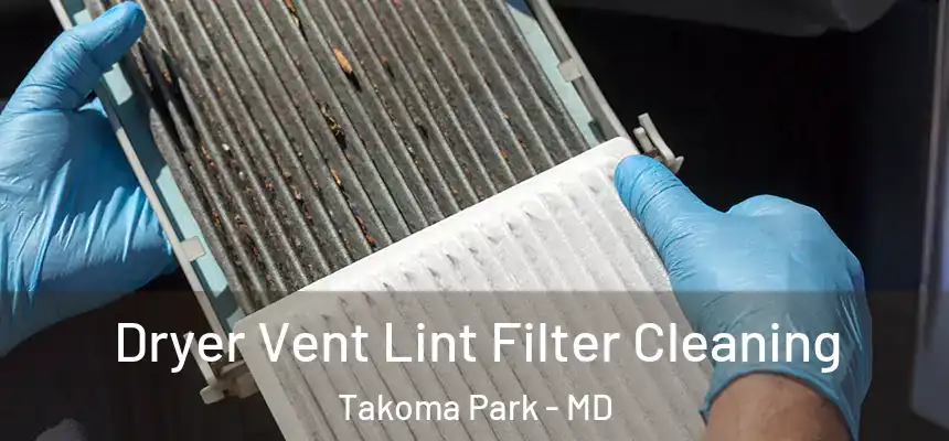  Dryer Vent Lint Filter Cleaning Takoma Park - MD