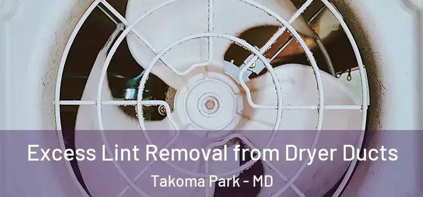 Excess Lint Removal from Dryer Ducts Takoma Park - MD