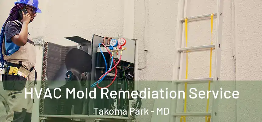 HVAC Mold Remediation Service Takoma Park - MD