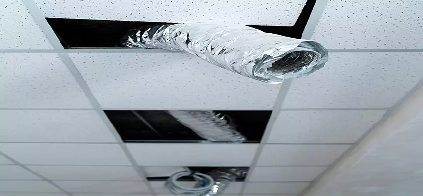 Our Air Duct Pet Hair Removal Services in Takoma Park, MD