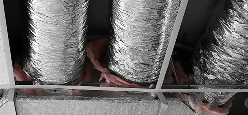 Scalable Commercial Multi‑Unit Dryer Vent Camera Inspection in Takoma Park, MD