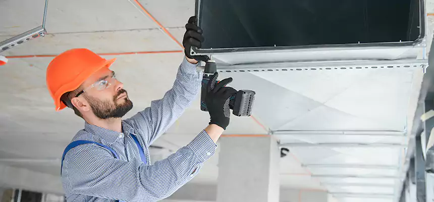 Roof Cap & Exterior Hood Lint Buildup Removal – Takoma Park