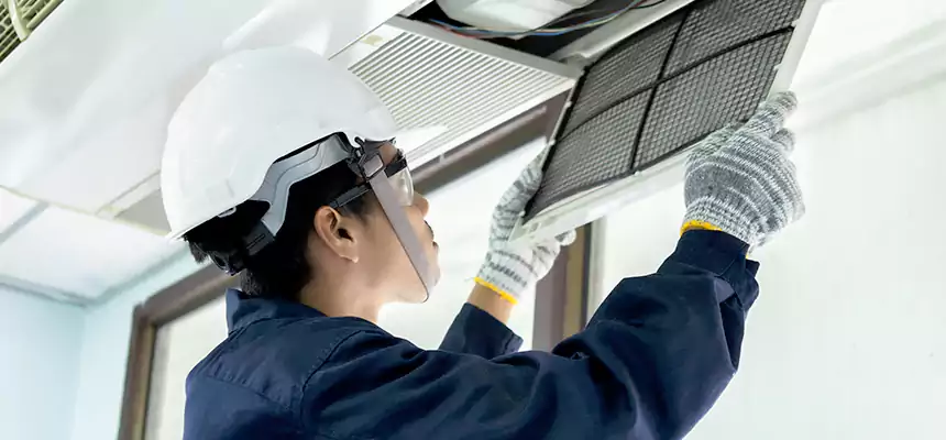 Our Mold & Mildew Removal from Air Ducts Services in Takoma Park, MD