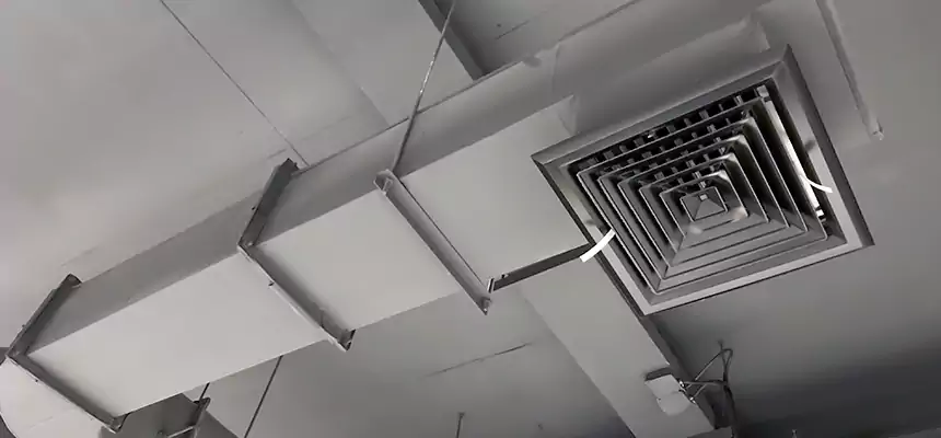 Our Pest Removal From Ducts Services in Takoma Park, MD