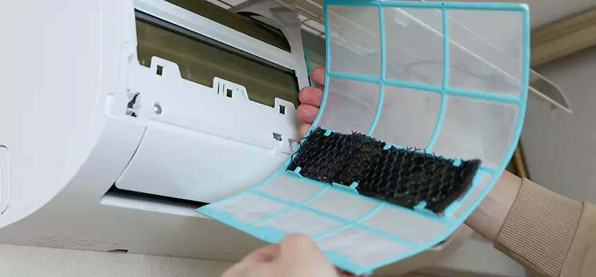 Gentle Ductwork Odor-Control Pet Dander Duct Cleaning in Takoma Park, MD