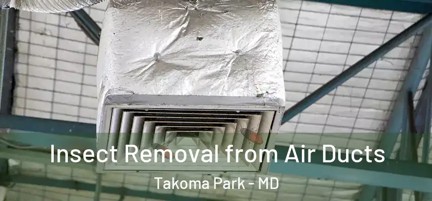Insect Removal from Air Ducts Takoma Park - MD