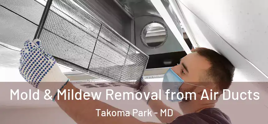Mold & Mildew Removal from Air Ducts Takoma Park - MD