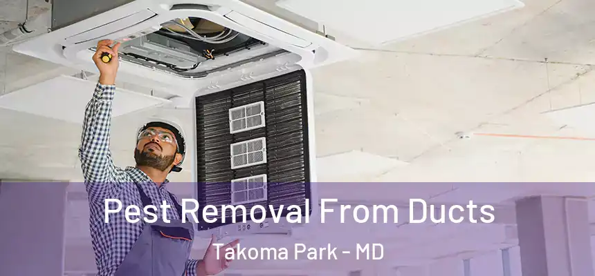 Pest Removal From Ducts Takoma Park - MD