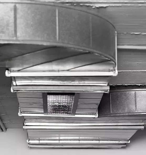 Professional Air Duct Pet Hair Removal in Takoma Park, MD