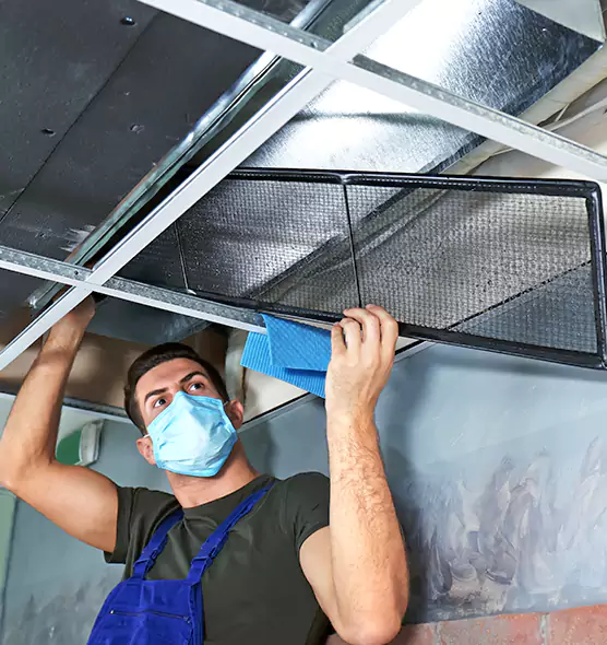 Professional Air Duct Pollen Cleaning in Takoma Park, MD