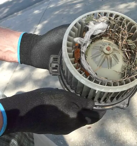 About Air Duct Rat Removal in Takoma Park, MD