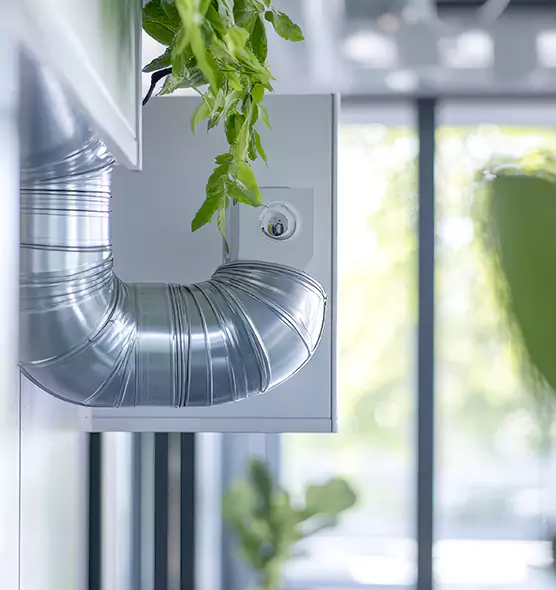 Professional Eco-Safe Dryer Vent Cleaning in Takoma Park, MD