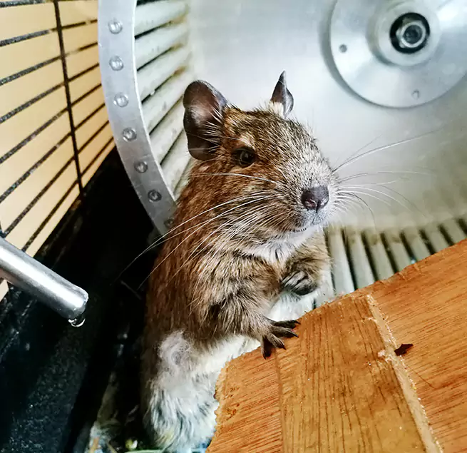 Why Homeowners & Businesses Trust Us Takoma Park, MD