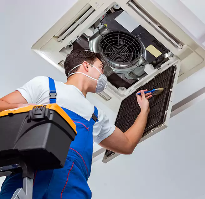 Why Homeowners & Businesses Trust Us in Takoma Park, MD