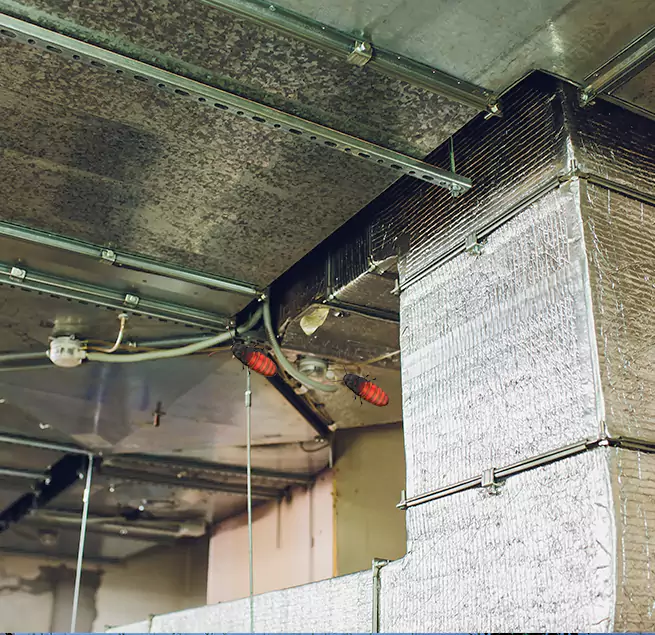 Why Homeowners & Businesses Trust Us Takoma Park, MD?