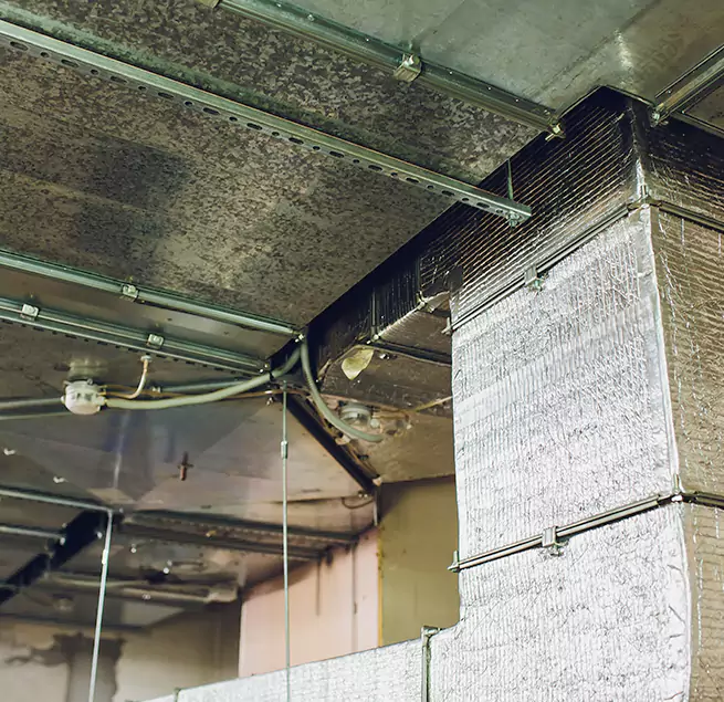 Why Homeowners & Businesses Trust Us in Takoma Park, MD?