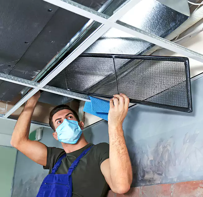 Why Homeowners Businesses Trust Us in Takoma Park, MD